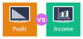 Difference Between Turnover and Profit