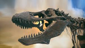 Jane yolen (author) 4.8 out of 5 stars 1,004 ratings. Why Did The Dinosaurs Go Extinct