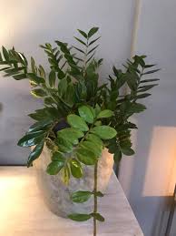Blumen Deller Mombris Facebook