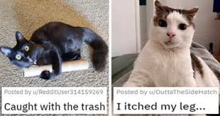 Dance (your pants off) 03:30. R F66qfo8sshfm