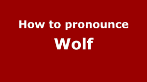 Here is the translation and the spanish word for wolf: How To Pronounce Wolf Spanish Argentina Pronouncenames Com Youtube