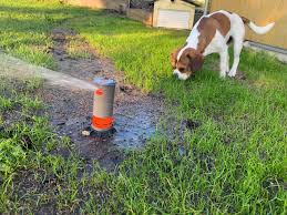 Taschner bewässerungssysteme in wachtberg bietet die passende lösung für jeden einsatzbereich, ob wir stehen ihnen mit einem umfangreichen service zur seite. Smarte Bewasserung Mit Versenkregner Planen Teil 1 Smarthome Blog