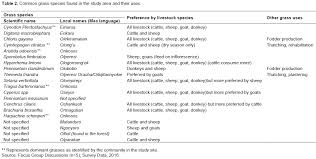 Image result for Harpachne schimperi