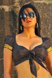 Sakshi Choudhary Hot And Spicy Navel And Cleavage 45570 | Hot Sex Picture