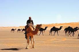 The byzantine state concludes treaties with a number of nomadic tribes in northern arabia. The History Of Pre Islamic Arabia Brewminate