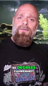 #fishtank #fishkeeping #aquarium