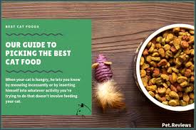 In 2018, the honest kitchen stopped being open to questions about their food, ingredients, and sourcing. Best Cat Food Our 2021 Top Rated Healthiest Cat Food Picks