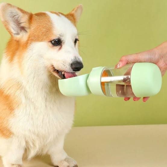 Portable Leak-Proof Dog Water Bottle for Hydration