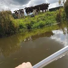Gegen 17 uhr meldete eine besorgte villacherin einen schwan mit einem angelhaken im fuß beim „fleetsee gesehen zu haben. Fleetsee Fintel Alle Angeln