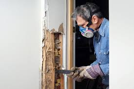 Read about the structural damage termites can do to the ceilings, floors, and walls of your home and see pictures to illustrate the severity of the damage caused. How Much Does Termite Damage Cost To Repair Costs Of Termites In Va