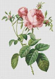 Cross stitch is one of the best forms of art and craft especially if it is used for the creation of classic designs. Pin By Mariacrico On Advanced Cross Stitch Patterns Floral Cross Stitch Cross Stitch Flowers Cross Stitch Rose