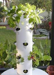 Pin By Lovin Juiceplus On Simpliest Ways To Garden Tower Garden Diy Hydroponics Hydroponics Diy