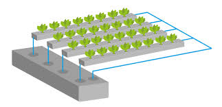 Our groclean channels are a proprietary design that has been optimized over 35+ years of research and redesign. Hydroponic Nft Rinne Nft Kanal
