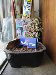 كويك ستيب وكيل حصرى نيو ستايل ديكور فلسطين Food Breakfast Quick