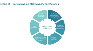 Szczepionka zazwyczaj składa się z następujących składników: Szczepionki Agencja Oceny Technologii Medycznych I Taryfikacji