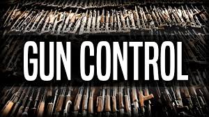 Image result for gun control laws