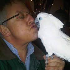How you clean the lid of the ninja foodi air fryer. Thanks