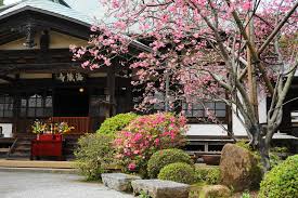 鎌倉 花 の 寺 めぐり