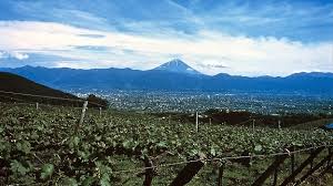 In The Shadow Of Mount Fuji Jan 2015 Vinous Explore All Things Wine