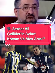 Aykut Kocaman Alex Olayı
