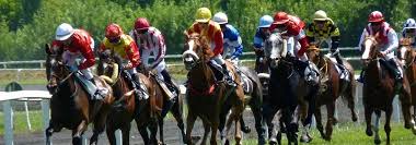 L'analyse de la course avec le tocard et la base du quinté. Quinte Du 30 Avril 2017 Grand Handicap Des Milers