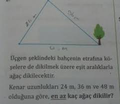 Bu devrelerde ağaçların çeşitli organları arasındaki ilişkiler değişiktir.gençlik çağı boyunca genel beslenme içinde kök sisteminin «kişi, yaprak sistemininkine baskındır. Ucgen Seklindeki Bahceni Etrafina Dikilmek Uzere Esit Araliklarla Agac Dikilecektir Kenar Uzunluklari Eodev Com