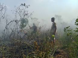 A fire broke out in Kuala Langat North ...