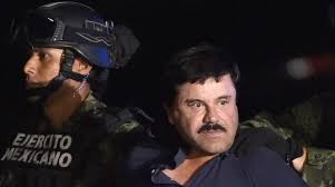 But how does the el chapo series link to narcos: La Vida Del Chapo Guzman Se Vera En Television