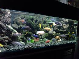 Pin By Heidi Allegato On 3 D Aquarium Backgrounds Aquarium Backgrounds Tropical Fish Tanks Diy Fish Tank
