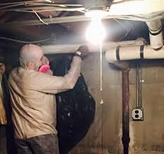 How can i contact aaa abco termite & pest control inc? Aaa Abco Termite Pest Control Inc In Stony Brook Ny Connect2local