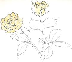 1001 Modeles Et Conseils Pour Apprendre Comment Dessiner Une Rose Dessin Rose Comment Dessiner Une Rose Croquis De Rose