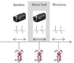 Experience points has a current supply of 4,429,814,001 with 1,405,001,524.01 in circulation. Assessment Time Points Of Emotional Responses Experienced Using The Download Scientific Diagram