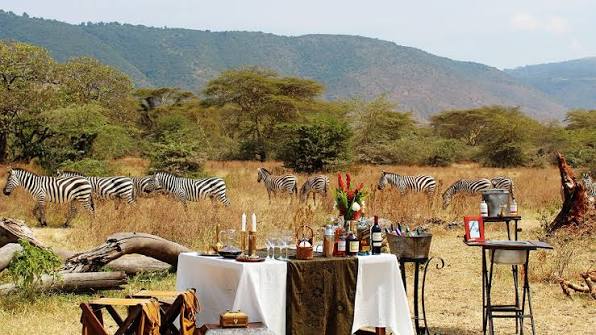 Elewana Collection - At a Glance