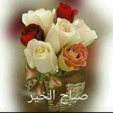 ���� ���� ������ �� ���� ������