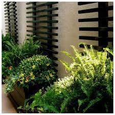 Pin By Cindy Schlecht On Garden Modern Front Yard Front Yard Design Yard Design
