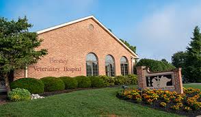 Animal health care center of hershey (ahcc) was established by dr. Hershey Veterinary Hospital Because Pets Are Family