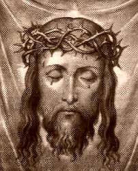 Aaron Cust (@aaron_cust)