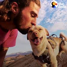 Rescue Dog Jumps Off Cliffs With His Dad