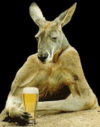 Kangaroo Enjoys A Schooner Of Beer Australian Beer Funny Australian Funny Animals