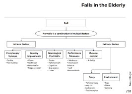Causes Of Falls In The Elderly Differential Diagnosis Algorithm Intrinsic Factors