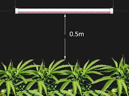 That is the max voltage the leds can handle. How Led Grow Light Help The Growth Of Plants Agc Lighting