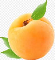 Maybe you would like to learn more about one of these? Apricot Food Peach Fruit Plum Png 1129x1243px Apricot Bitter Orange Codepen Diet Food Food Download Free