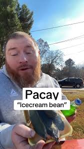 Unboxing Jerry Toes Subscription Box: Unique Merchandise and Products