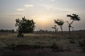 The shariah justification is that a small amount of impurity will not corrupt the whole. Suspected Boko Haram Militants Kill At Least 13 In Cameroon Arab News