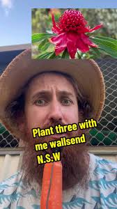 Plant List Australia Landscaping