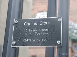 The plant was just two inches tall when he bought it. Trendy La Based Cactus Store Now Selling Out Of Essex Street Greenhouse Bowery Boogie