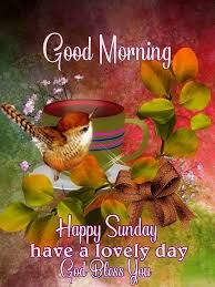 To look towards bright side, you need to do some activity like reading good stuff, spending time with good friends, doing some community work, philanthropy and whatever other activities that you like. Lovely Sunday Good Morning Quotes Pictures Photos And Images For Facebook Tumblr Pinterest Good Morning Happy Sunday Happy Sunday Images Good Morning Happy