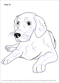 Notice the lines that form the forehead, nose, and. Learn How To Draw A Golden Retriever Farm Animals Step By Step Drawing Tutorials