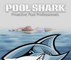 In choosing our company, you will always be met with quality work by our great. Pool Shark Service Inc 5 Recommendations New Port Richey Fl