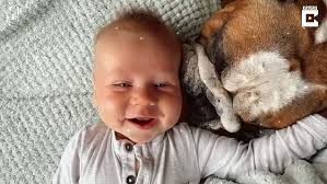 Bulldog and baby are great pals